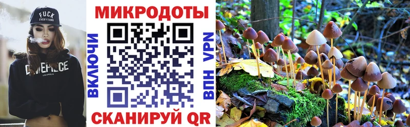 Галлюциногенные грибы мицелий  Купить  Тогучин 